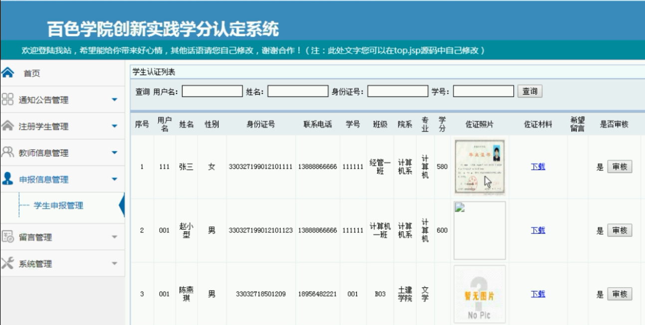 申报审核管理界面